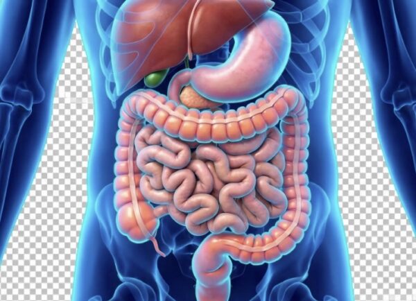 #005【経験談】脊髄損傷にともなう内臓トラブルとの付き合い方